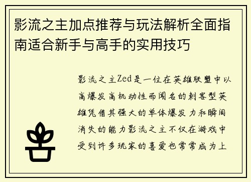 影流之主加点推荐与玩法解析全面指南适合新手与高手的实用技巧
